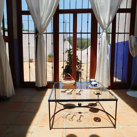 ホテルCasa Erizo 39 (Adults Only) グアナファト エクステリア 写真